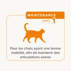 Beaphar Flexifit Friandises Articulations Chat 35 G -Trixie Boutique 1000067 ecommerce flexifit bits fr 2024 4 1