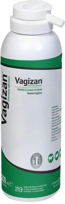 Vagizan Aérosol 200 Ml