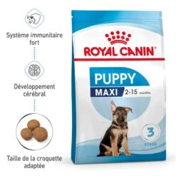 Royal Canin Vet Puppy Maxi 10 Kg -Trixie Boutique 3182550402163 1 1