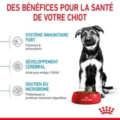 Royal Canin Vet Puppy Maxi 10 Kg -Trixie Boutique 3182550402163 3 1