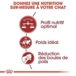 Royal Canin Féline Health Nutrition Fit 32 - 10 Kg -Trixie Boutique 3182550702157 3