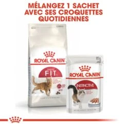 Royal Canin Féline Health Nutrition Fit 32 - 10 Kg -Trixie Boutique 3182550702157 5