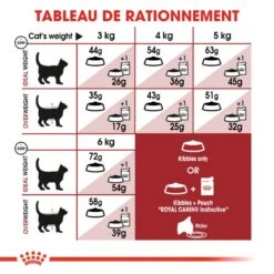 Royal Canin Féline Health Nutrition Fit 32 - 10 Kg -Trixie Boutique 3182550702157 6