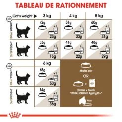 Royal Canin Feline Health Nutrition Senior Ageing 12+ 2 Kg -Trixie Boutique 3182550786201 7