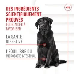 Royal Canin Chien Adult Digestion Chews 160 G 10 Royal Canin Chien Adult Digestion Chews 160 G -Trixie Boutique 3182551063592 2