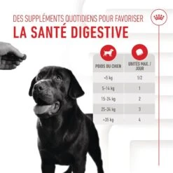 Royal Canin Chien Adult Digestion Chews 160 G 13 Royal Canin Chien Adult Digestion Chews 160 G -Trixie Boutique 3182551063592 4