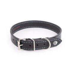 Martin Sellier Collier Cuir Flash Turquoise T47