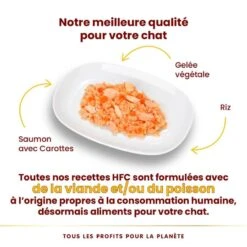 Almo Nature Chat Jelly HFC Saumon Carotte 24 X 70 G -Trixie Boutique 5032h slide 03 fr 1
