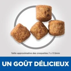 Hill's Science Plan Canine Adult Perfect Weight Large Poulet 12 Kg -Trixie Boutique 52742366906 4 science plan perfect weight chien adulte large croquettes poulet