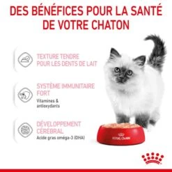 Royal Canin Kitten Sachet En Mousse 12 X 85 G -Trixie Boutique 9003579003831 3 1 1