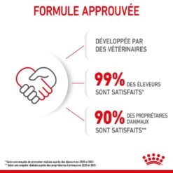 Royal Canin Kitten Sachet En Mousse 12 X 85 G -Trixie Boutique 9003579003831 6 1