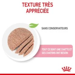Royal Canin Mother & Babycat Mousse 12 X 195 G -Trixie Boutique 9003579118627 3 1