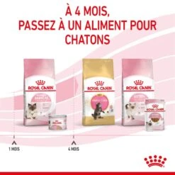 Royal Canin Mother & Babycat Mousse 12 X 195 G -Trixie Boutique 9003579118627 4 1
