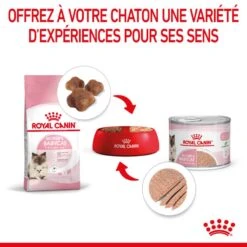 Royal Canin Mother & Babycat Mousse 12 X 195 G -Trixie Boutique 9003579118627 5 1