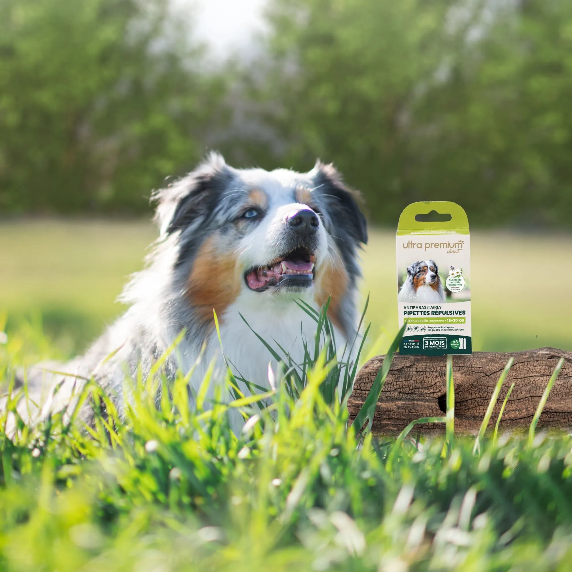 Trixie Boutique -Trixie Boutique AMB 1 MOYENCHIEN min 436c618a95 SUT6ZliVY