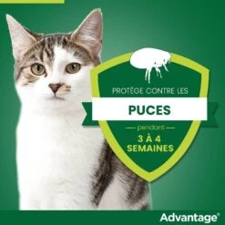 Advantage 40 Chat Et Lapin De 1 à 4 Kg 6 Pipettes 10 Advantage 40 Chat Et Lapin De 1 à 4 Kg 6 Pipettes -Trixie Boutique advantage 40 chat et lapin de 1 4 kg pipettes x6 4