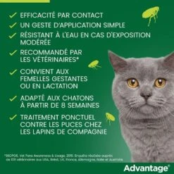 Advantage 40 Chat Et Lapin De 1 à 4 Kg 6 Pipettes 11 Advantage 40 Chat Et Lapin De 1 à 4 Kg 6 Pipettes -Trixie Boutique advantage 40 chat et lapin de 1 4 kg pipettes x6 5