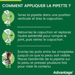 Advantage 40 Chat Et Lapin De 1 à 4 Kg 6 Pipettes 12 Advantage 40 Chat Et Lapin De 1 à 4 Kg 6 Pipettes -Trixie Boutique advantage 40 chat et lapin de 1 4 kg pipettes x6 6
