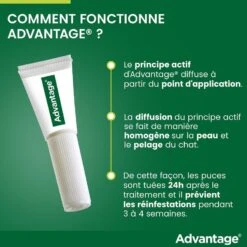 Advantage 40 Chat Et Lapin De 1 à 4 Kg 6 Pipettes 13 Advantage 40 Chat Et Lapin De 1 à 4 Kg 6 Pipettes -Trixie Boutique advantage 40 chat et lapin de 1 4 kg pipettes x6 7