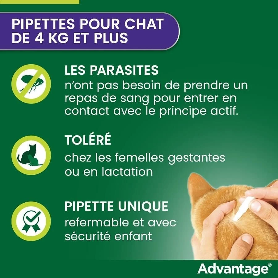 Advantage 80 Chat Et Lapin + De 4 Kg Pipettes X4 – Image 3