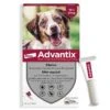 Advantix Chien Moyen (10-25 Kg) - 6 Pipettes