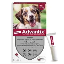 Advantix Chien Moyen (10-25 Kg) - 6 Pipettes