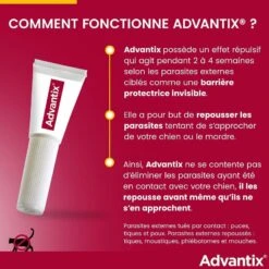 Advantix Chien Moyen (10-25 Kg) - 6 Pipettes -Trixie Boutique advantix chien moyen 10 25 kg 7 1