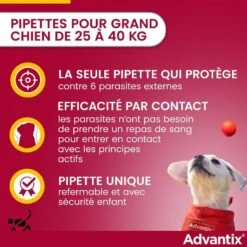 Advantix Grand Chien (25 - 40 Kg) - 4 Pipettes 9 Advantix Grand Chien (25 - 40 Kg) - 4 Pipettes -Trixie Boutique advantix grand chien 25 40 kg 3