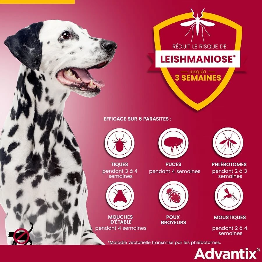 Advantix Grand Chien (25 - 40 Kg) - 4 Pipettes 4 Advantix Grand Chien (25 - 40 Kg) - 4 Pipettes – Image 4