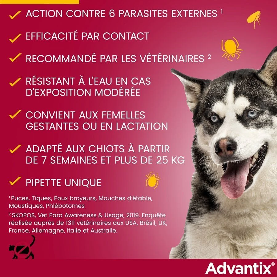 Advantix Grand Chien (25 - 40 Kg) - 4 Pipettes 5 Advantix Grand Chien (25 - 40 Kg) - 4 Pipettes – Image 5