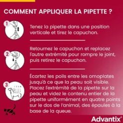 Advantix Grand Chien (25 - 40 Kg) - 6 Pipettes -Trixie Boutique advantix grand chien 25 40 kg 6 1