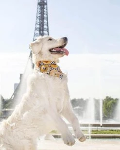 Arizona Hotdogs Bandana Bretzel/Bagel L - Destockage -Trixie Boutique arizona hotdogs bandana reversible bretzel bagel la compagnie des animaux 4 8