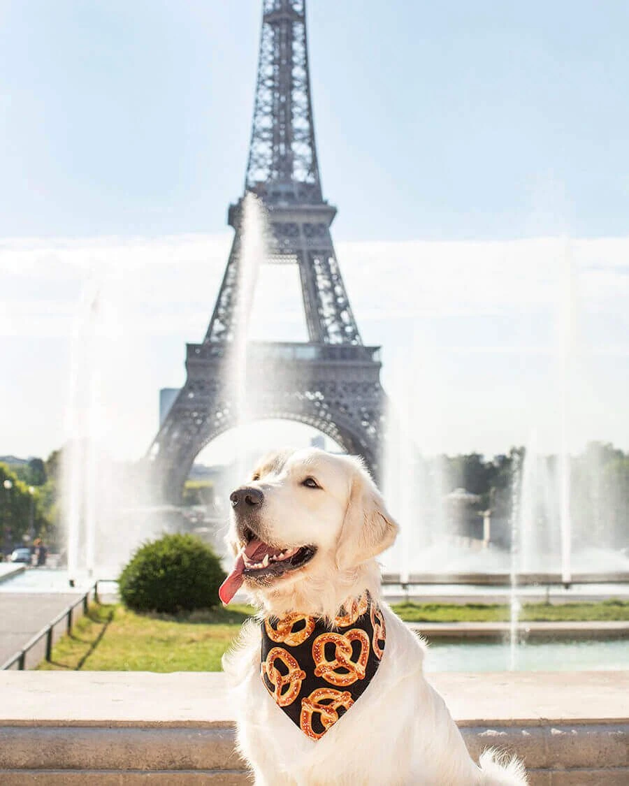 Arizona Hotdogs Bandana Bretzel/Bagel L - Destockage – Image 2