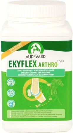 Audevard Ekyflex Arthro Evo 900 G