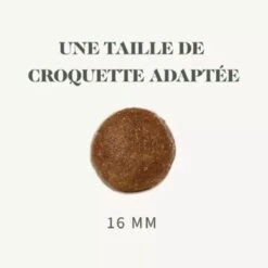 Bab'in Signature Chien Medium Adulte Au Poulet 12 Kg -Trixie Boutique bab in signature medium adulte au poulet 12 kg 4