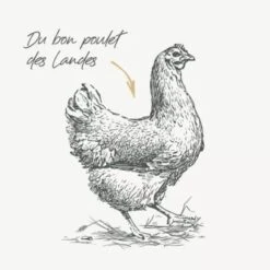 Bab'in Signature Chien Medium Adulte Au Poulet 12 Kg -Trixie Boutique bab in signature medium adulte au poulet 12 kg 5