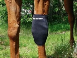 Back On Track Protège Genou Gauche Pour Cheval XL 7 Back On Track Protège Genou Gauche Pour Cheval XL -Trixie Boutique back on track prote ge genou gauche pour cheval taille xl4