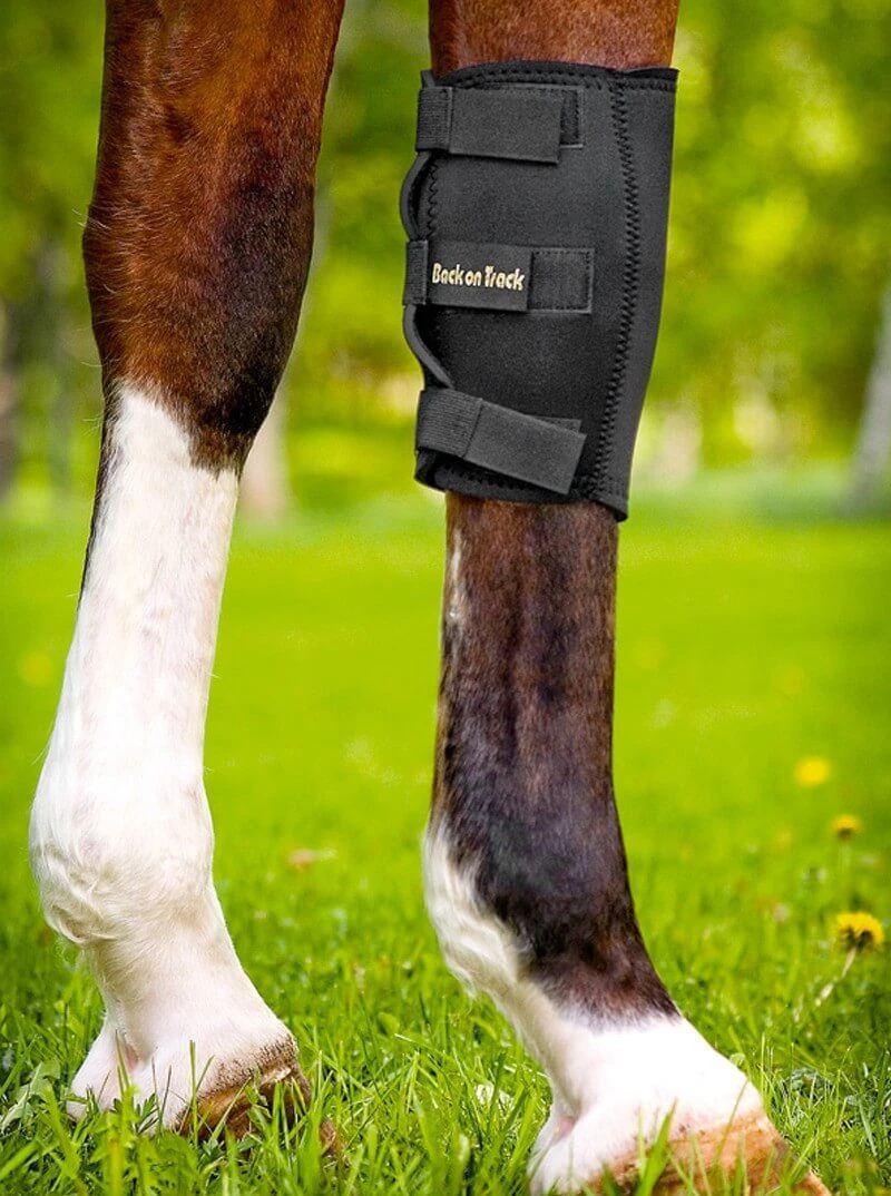 Back On Track Protège Genou Gauche Pour Cheval XL 2 Back On Track Protège Genou Gauche Pour Cheval XL – Image 2