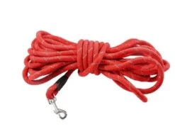 Bobby Longe Walk Chien Rouge 5 M