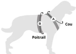 Cani Gear Harnais Symbioz Chien Bleu M 8 Cani Gear Harnais Symbioz Chien Bleu M -Trixie Boutique capture d cran 2024 11 18 143652 3