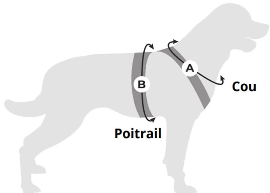 Cani Gear Harnais Symbioz Chien Bleu M 3 Cani Gear Harnais Symbioz Chien Bleu M – Image 3