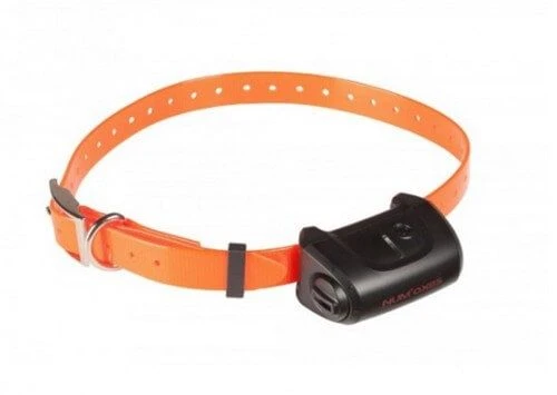 Canicom 5.500 - Destockage 2 Canicom 5.500 - Destockage – Image 2