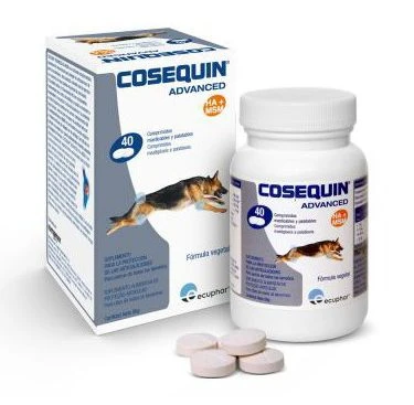 Cosequin HA 40 Cp 1 Cosequin HA 40 Cp