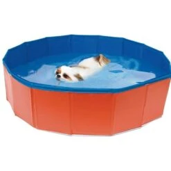 Croci Piscine Pour Chien 120 X 30 Cm
