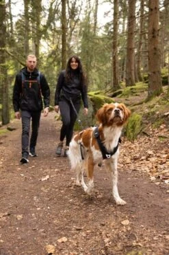 Cani Gear Harnais Symbioz Chien Bleu M 11 Cani Gear Harnais Symbioz Chien Bleu M -Trixie Boutique cy6031 ambiance 13 3