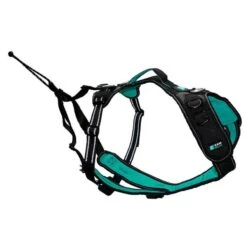 Cani Gear Harnais Symbioz Chien Bleu S
