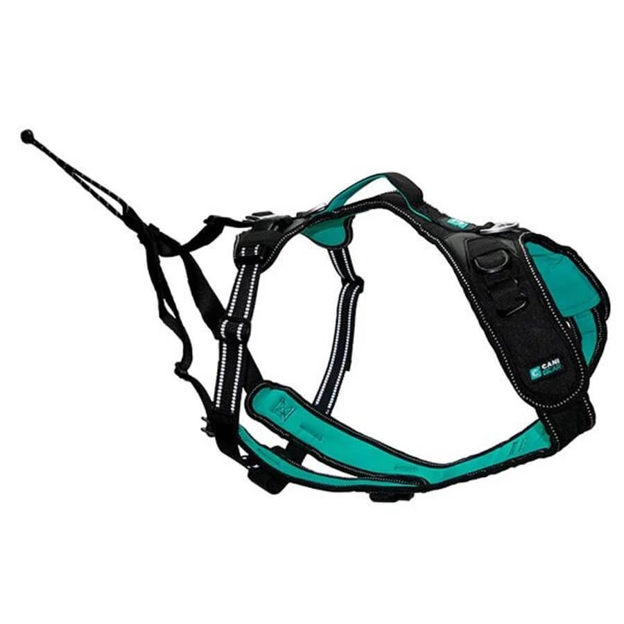 Cani Gear Harnais Symbioz Chien Bleu M 1 Cani Gear Harnais Symbioz Chien Bleu M