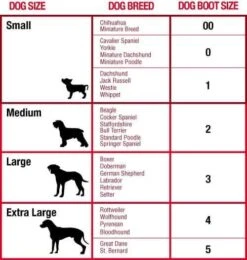 Botte De Protection Mikki T.3 -Trixie Boutique dog boot sizing mikki 1