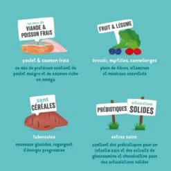 Edgard & Cooper Chien Senior Poulet Et Saumon Sans Céréales 700 G -Trixie Boutique edgard cooper croquettes bio au boeuf et poulet frais chien adulte ingr dients 1