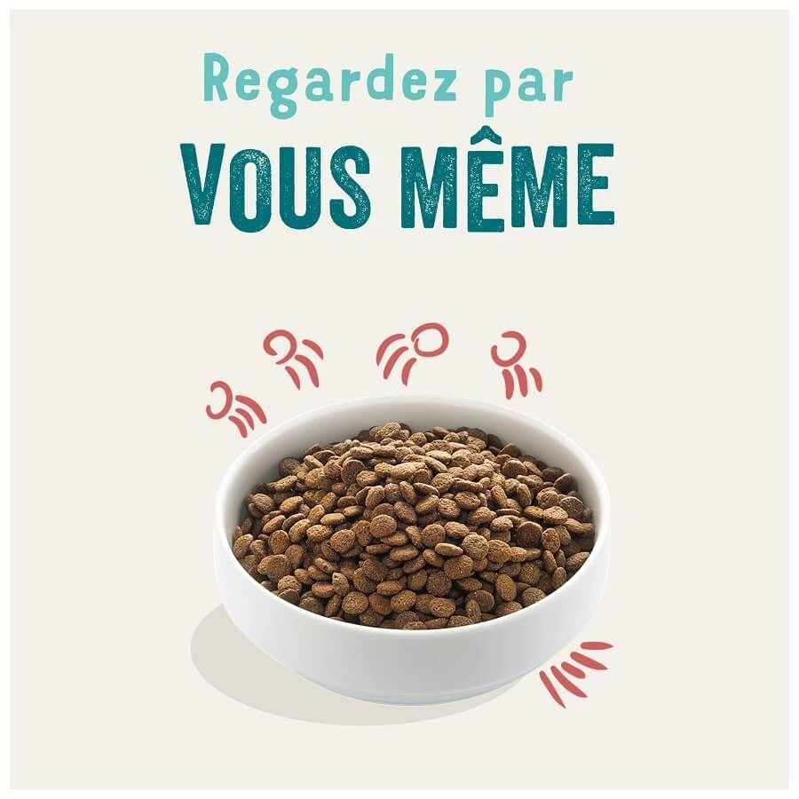 Edgard & Cooper Chien Senior Poulet Et Saumon Sans Céréales 700 G – Image 3